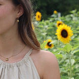 Shell di Capri Ohrringe