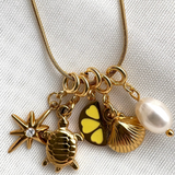 Stella Brillante Charme