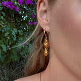 Conchiglia d’Oro Ohrringe