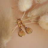 Shell di Capri Ohrringe